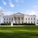 White House 