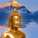 Bright Enlightenment 