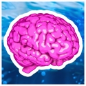 ThinkTank 