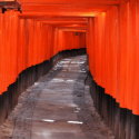 Boutique Japan Travel Company 