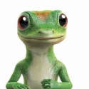 GEICO Insurance 