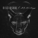 OfficialDisclosure 