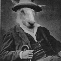 Sheep-man 