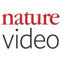 nature video 