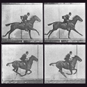 Every Frame a Painting 