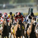 TVG Network 