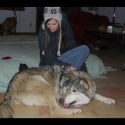 Sarah and the Wolves 