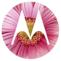 Motorola Mobility 