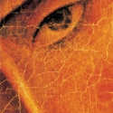 iconfilmdistribution 