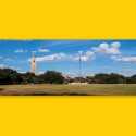 LSU 