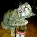 funny things 