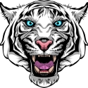 I AM WILDCAT 