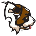 Siena Saints 