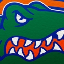 Florida Gators 