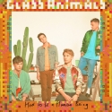 GlassAnimalsVEVO 