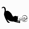 Asthmatic Kitty Records 