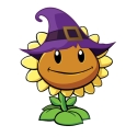 maramok 