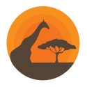 Kruger Sightings 