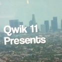 Qwik11Hoops 