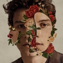 Shawn Mendes 