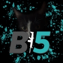 Boris 15 