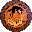 camelsandfriends 