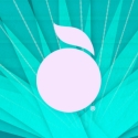 The Orchard Movies 