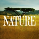Nature on PBS 