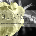 Elena Rose Elena Rose Photography