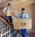 proremovalists adelaide